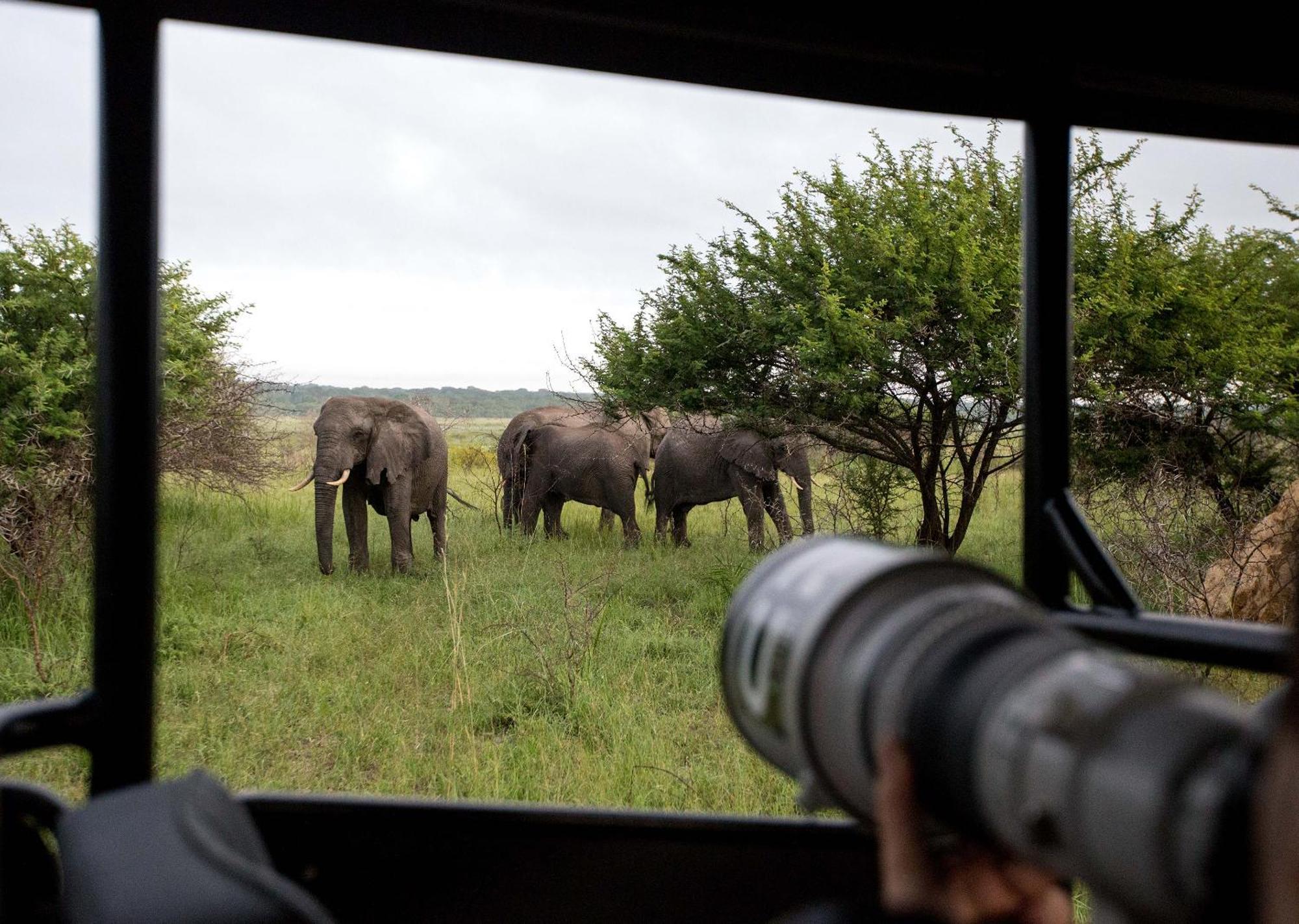 Royal Thonga Safari Lodge Sihangwane 외부 사진