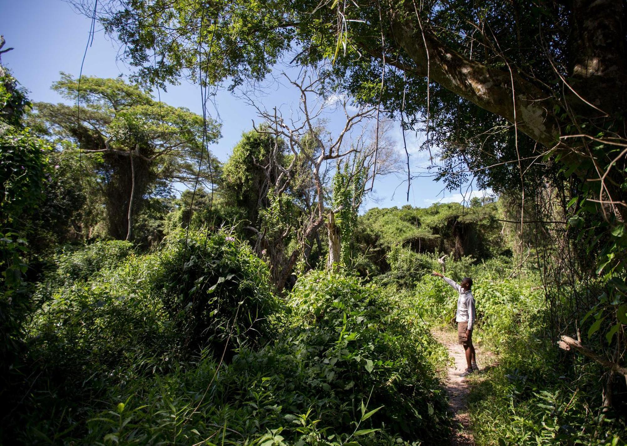 Royal Thonga Safari Lodge Sihangwane 외부 사진